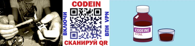 купить закладку  Кудымкар  Кодеин Purple Drank 