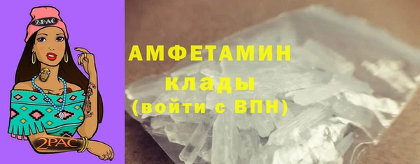 прущие грибы Абинск