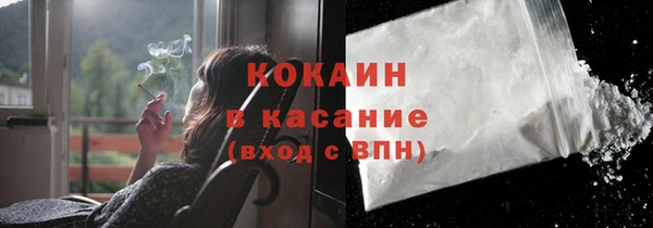 прущие грибы Абинск