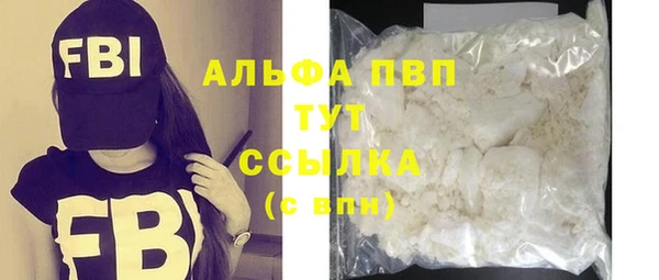 прущие грибы Абинск