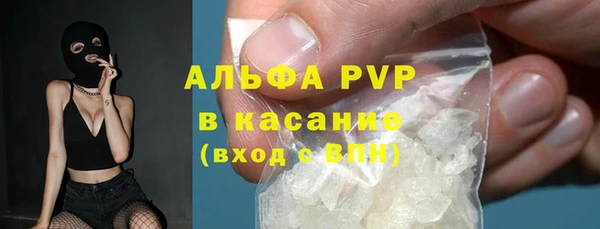 индика Абаза