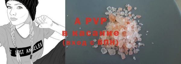 прущие грибы Абинск
