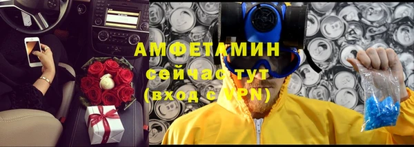 прущие грибы Абинск