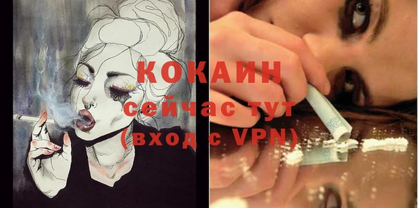 индика Абаза