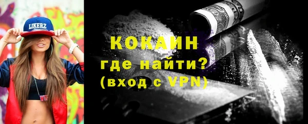 индика Абаза
