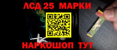 спайс Кингисепп