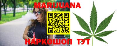 спайс Кингисепп