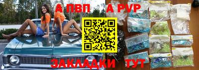 спайс Кингисепп