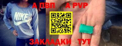 спайс Кингисепп
