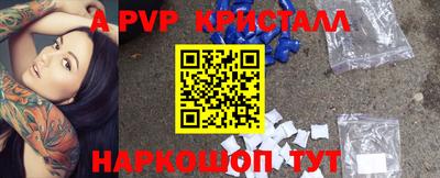 спайс Кингисепп