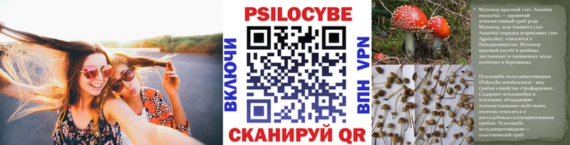 Псилоцибиновые грибы мицелий  Кудымкар 