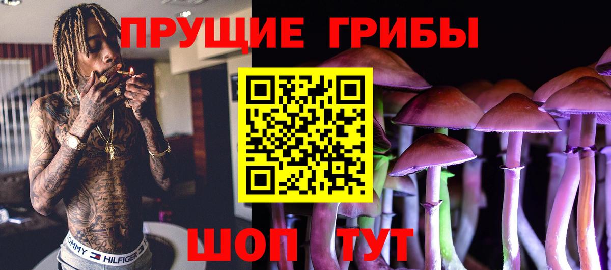 Псилоцибиновые грибы Cubensis  Галлюциногенные грибы GOLDEN TEACHER  Вход с VPN  Кудымкар 